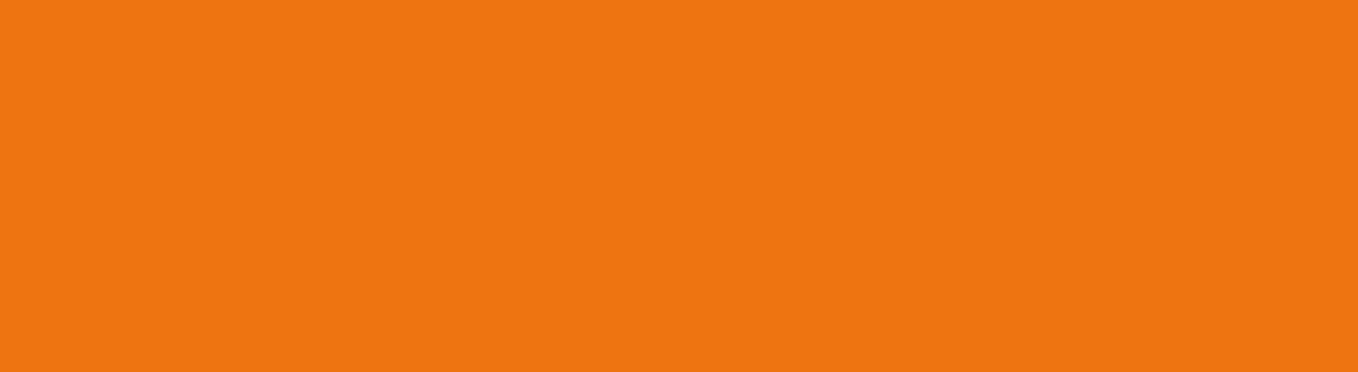 1702 oranje